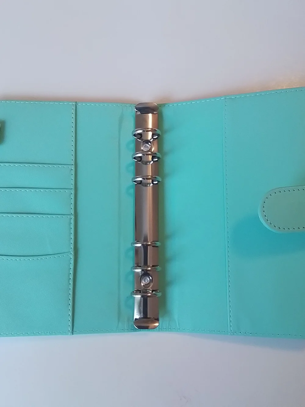 Mint Green Budget Binder
